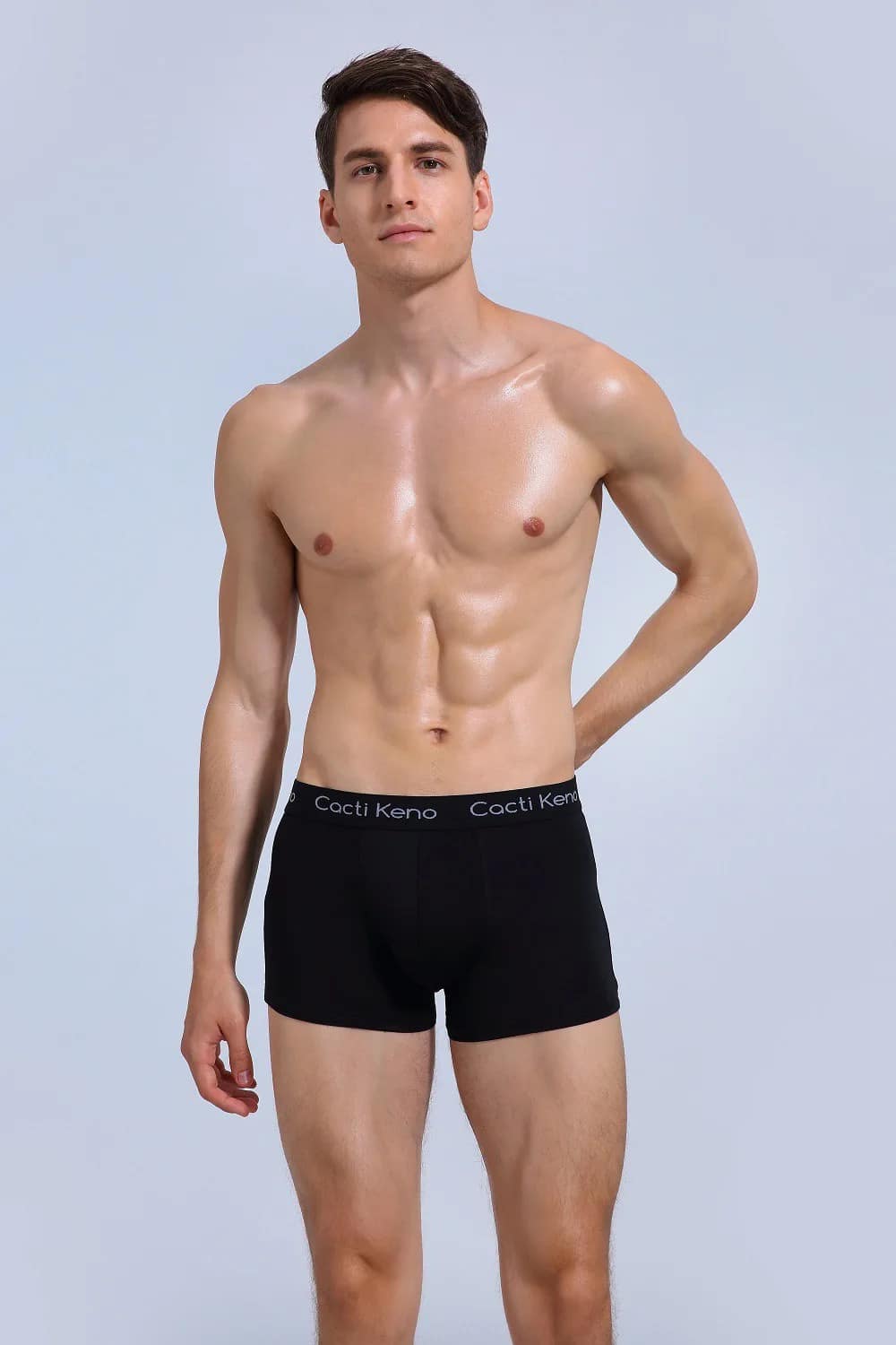 Underwear For Man Classical Cotton Boxer shorts Male Basics Boxer Briefs 4pcs set Elastic Waistband Anti bacterial